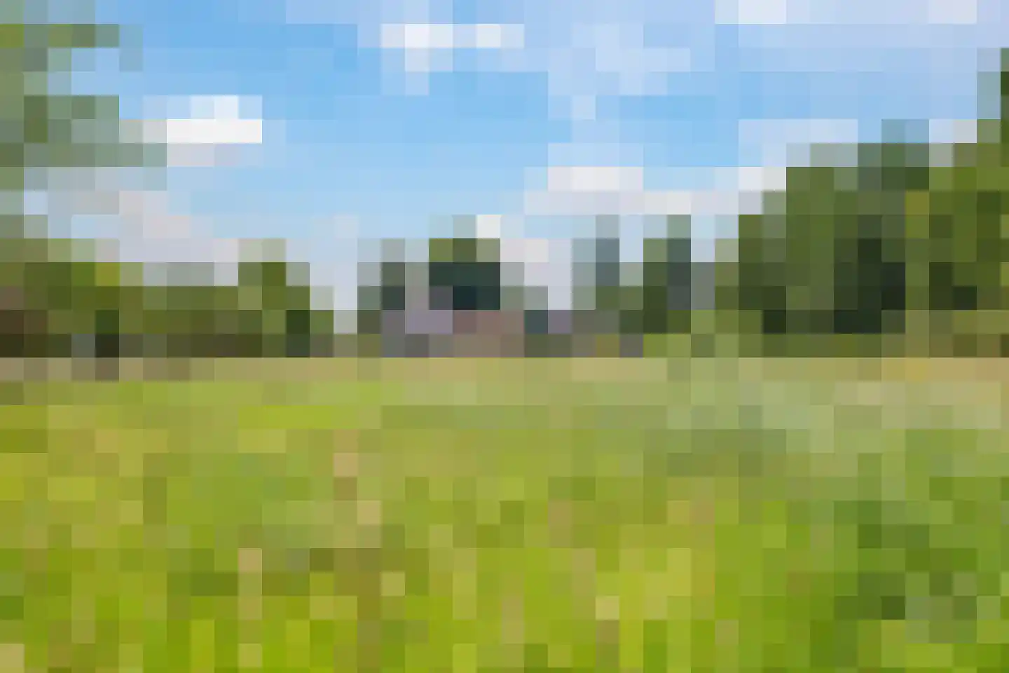 de Plak 80 Bemmel thumbnail 56