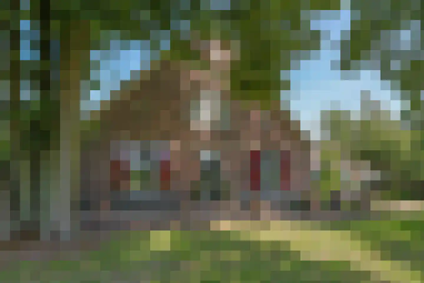de Plak 80 Bemmel thumbnail 6
