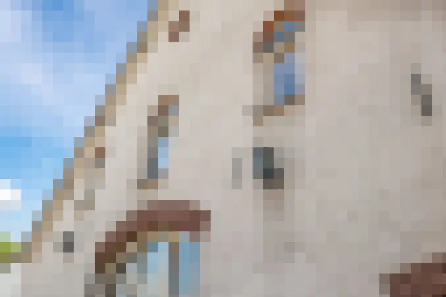 de Plak 80 Bemmel thumbnail 66