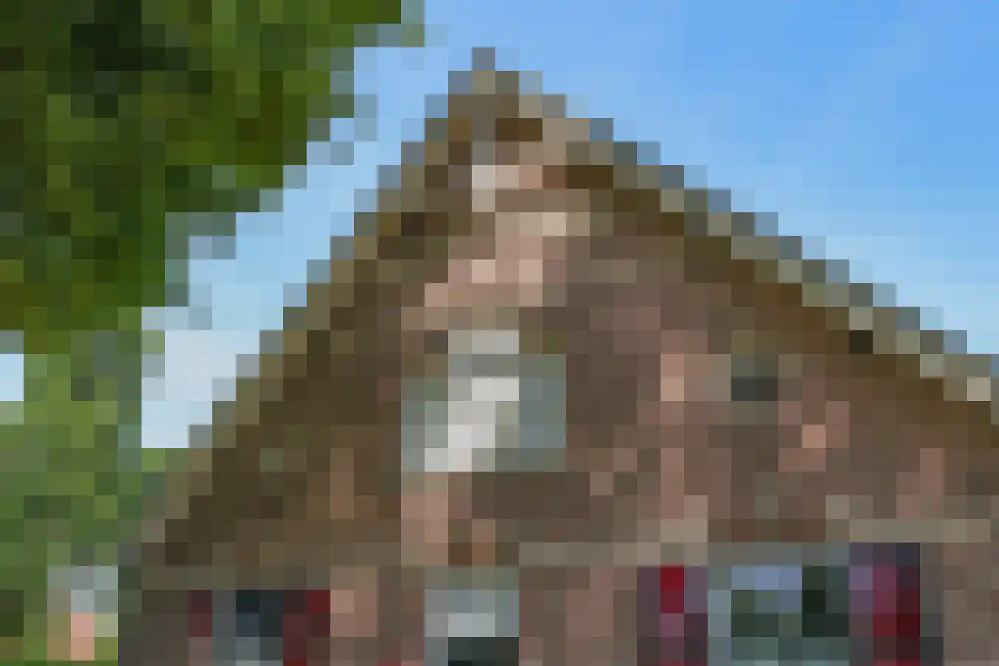 de Plak 80 Bemmel thumbnail 7