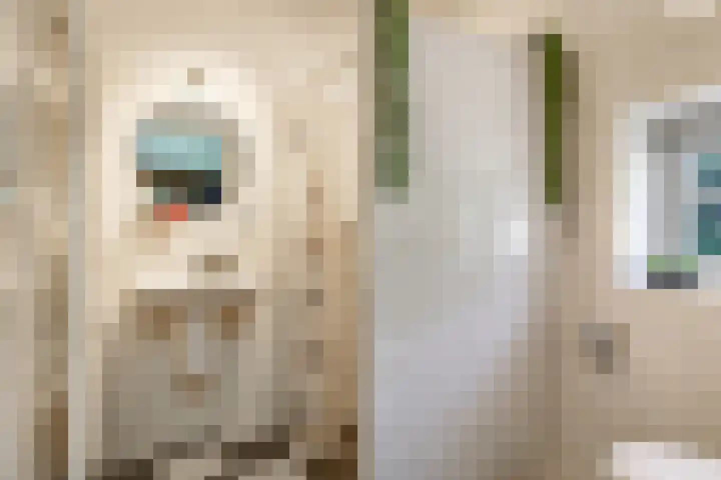 de Plak 80 Bemmel thumbnail 75