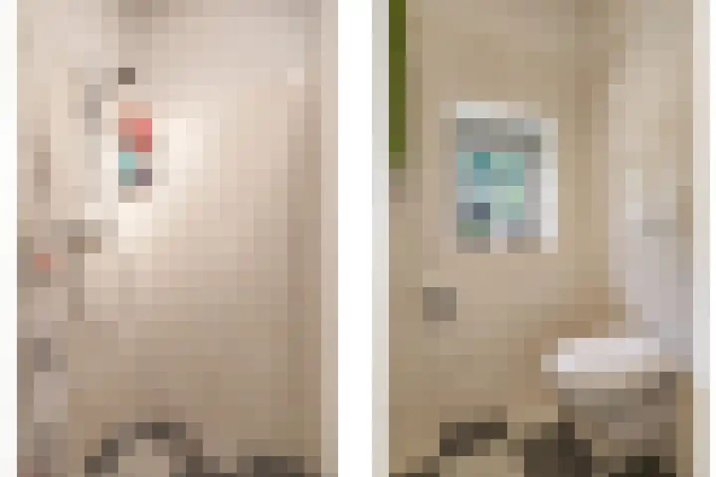 de Plak 80 Bemmel thumbnail 76