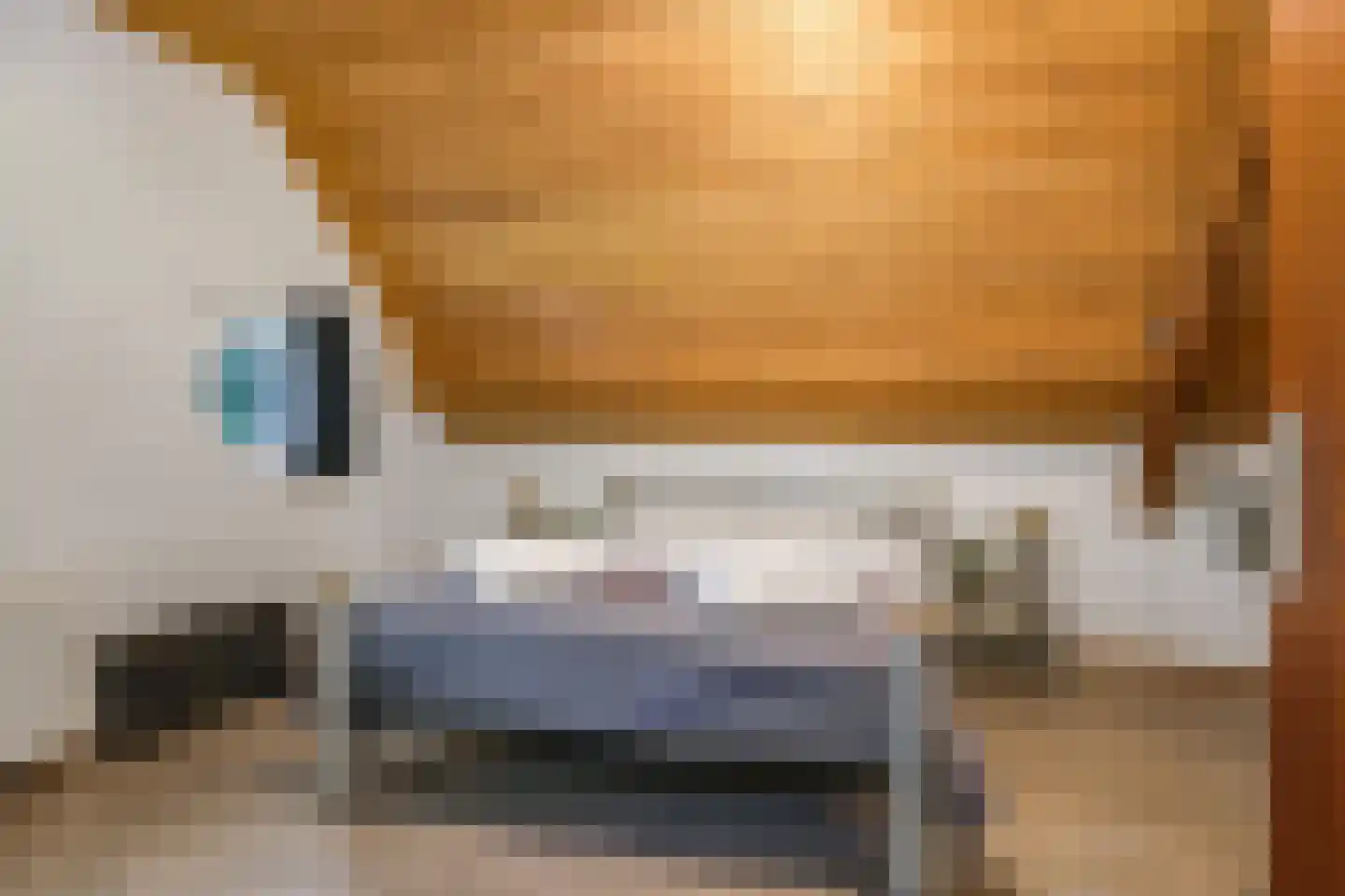 de Plak 80 Bemmel thumbnail 84