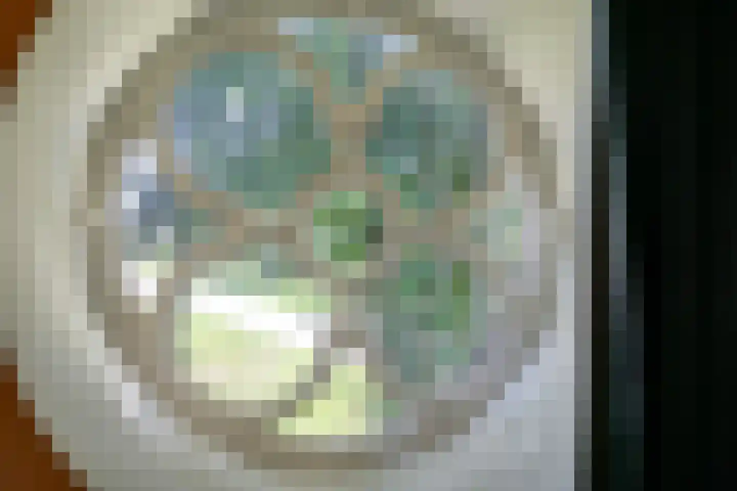 de Plak 80 Bemmel thumbnail 86