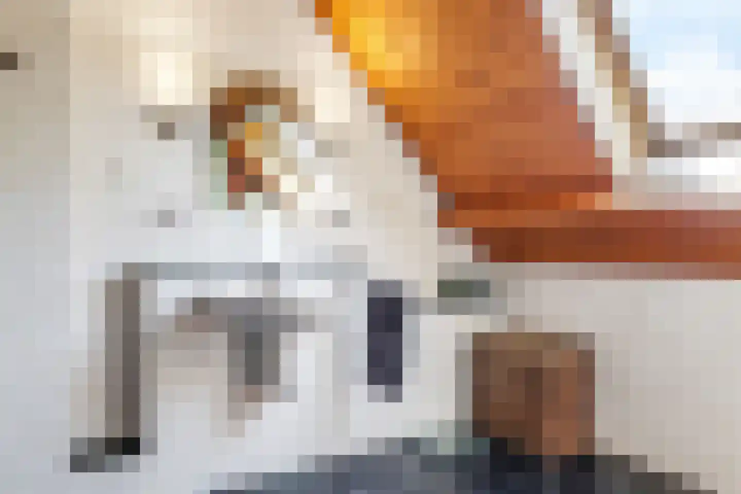 de Plak 80 Bemmel thumbnail 88