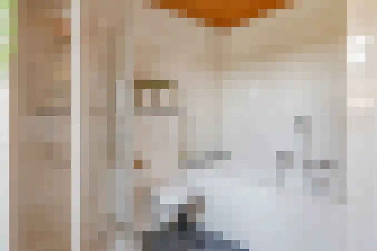 de Plak 80 Bemmel thumbnail 89