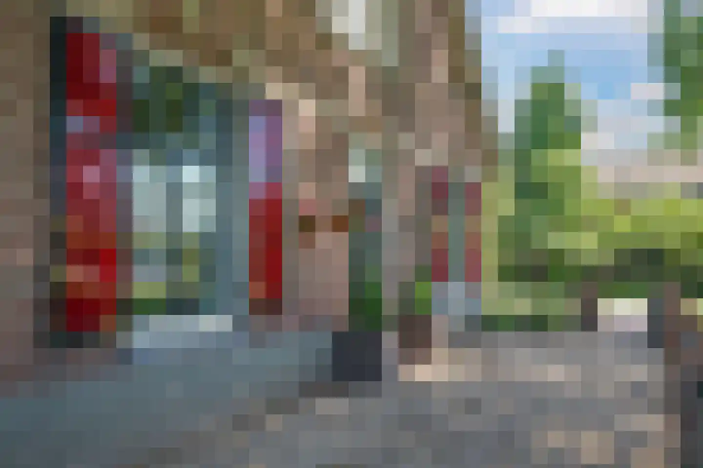 de Plak 80 Bemmel thumbnail 9