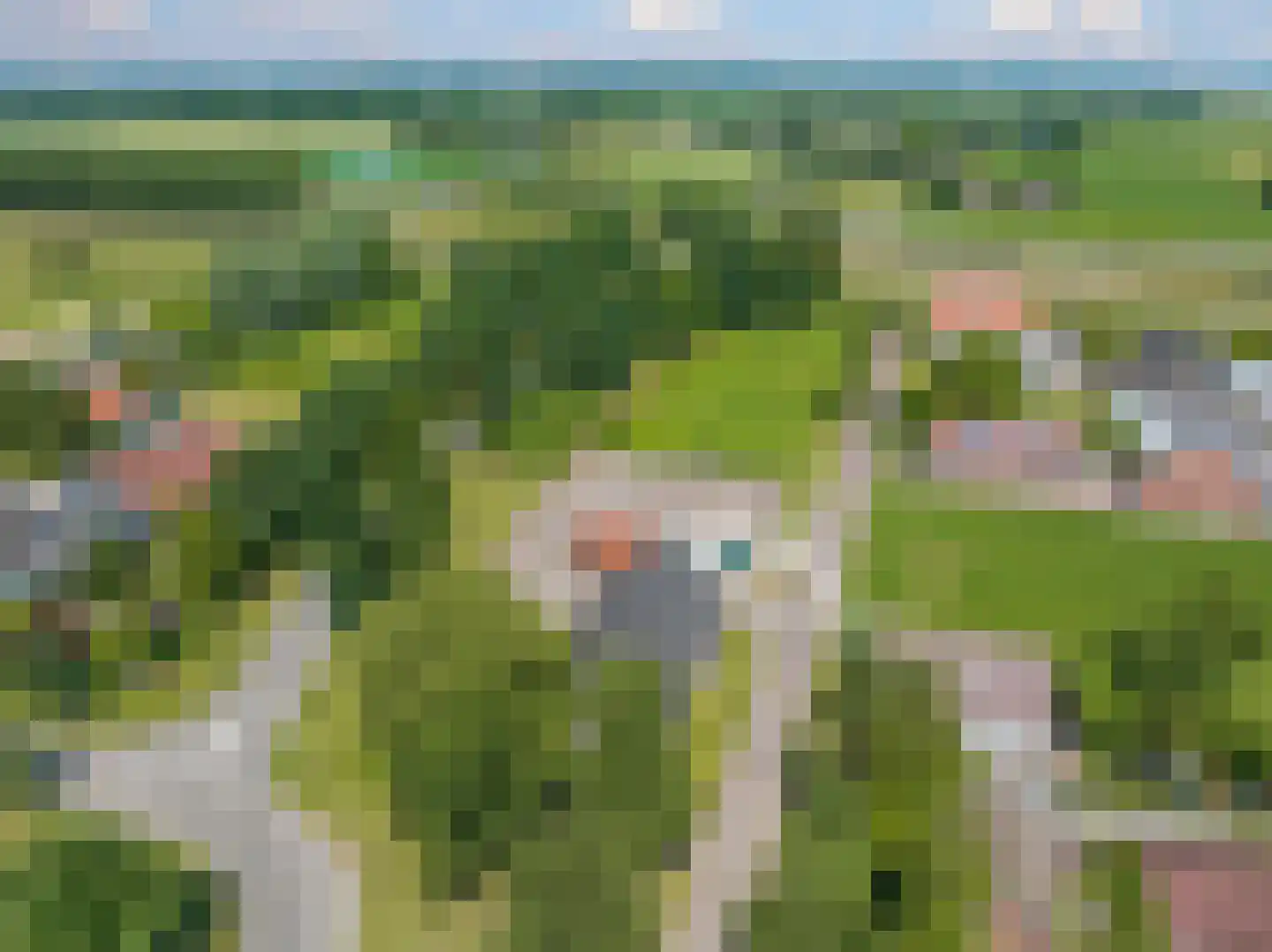 de Plak 80 Bemmel thumbnail 98