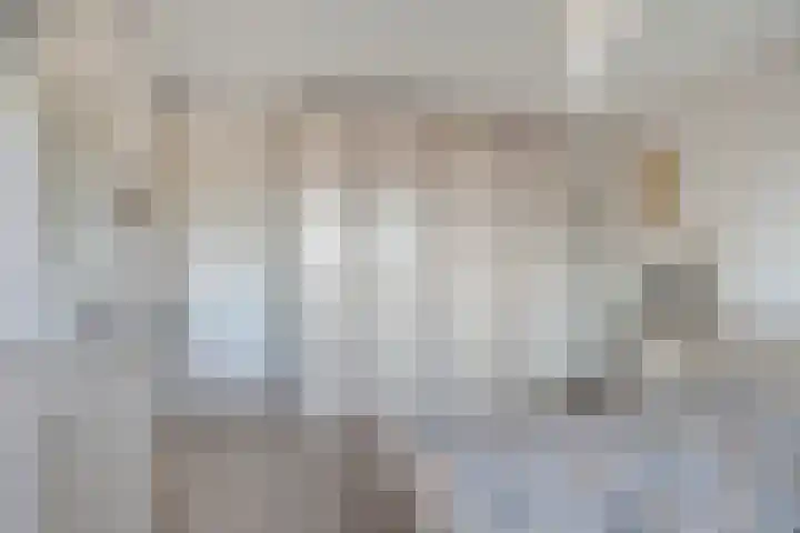 De Plank 1 Veldhoven thumbnail 10