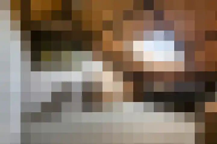 De Plank 1 Veldhoven thumbnail 16