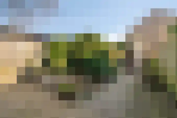 De Plank 1 Veldhoven thumbnail 18
