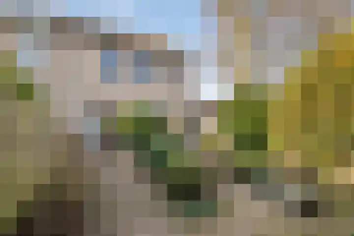 De Plank 1 Veldhoven thumbnail 21