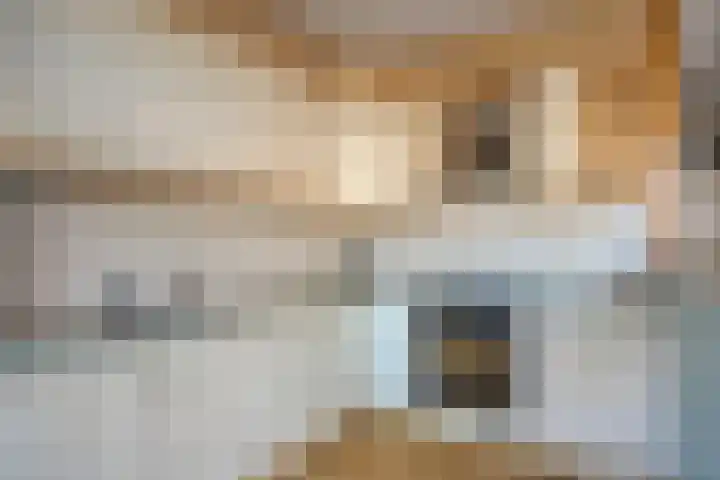 De Plank 1 Veldhoven thumbnail 5