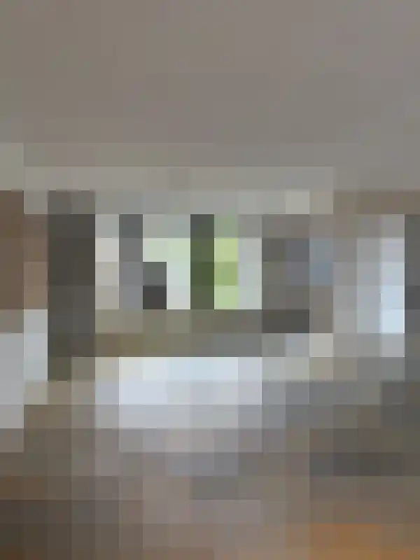 De Plank 23 Veldhoven thumbnail 6