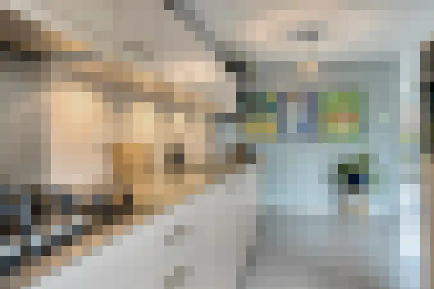 De Plank 5 Veldhoven thumbnail 24