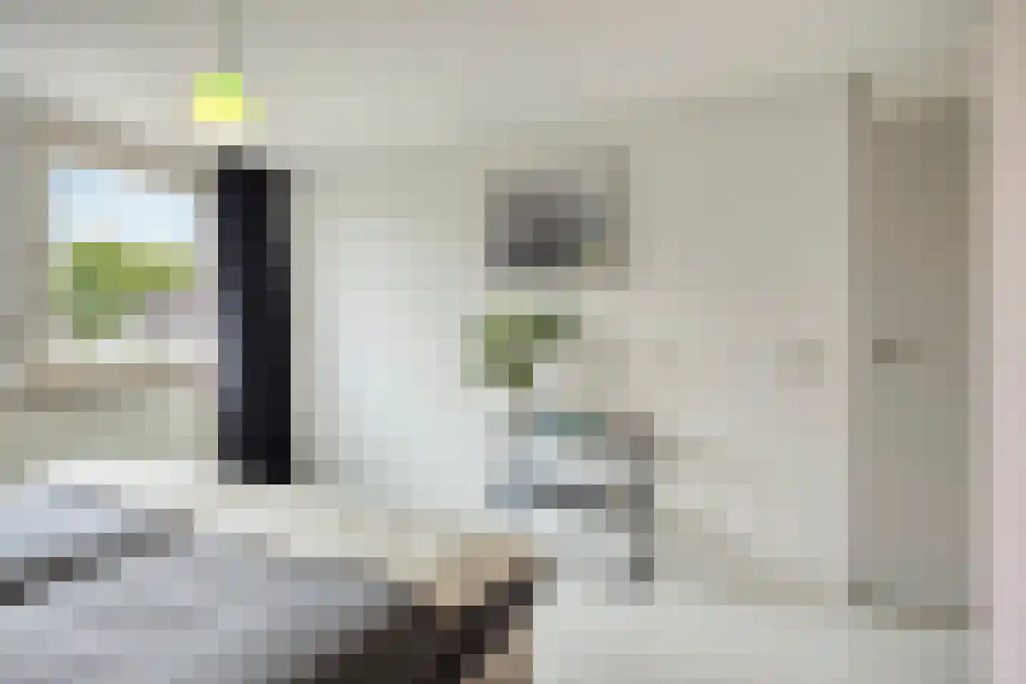 De Plank 5 Veldhoven thumbnail 30