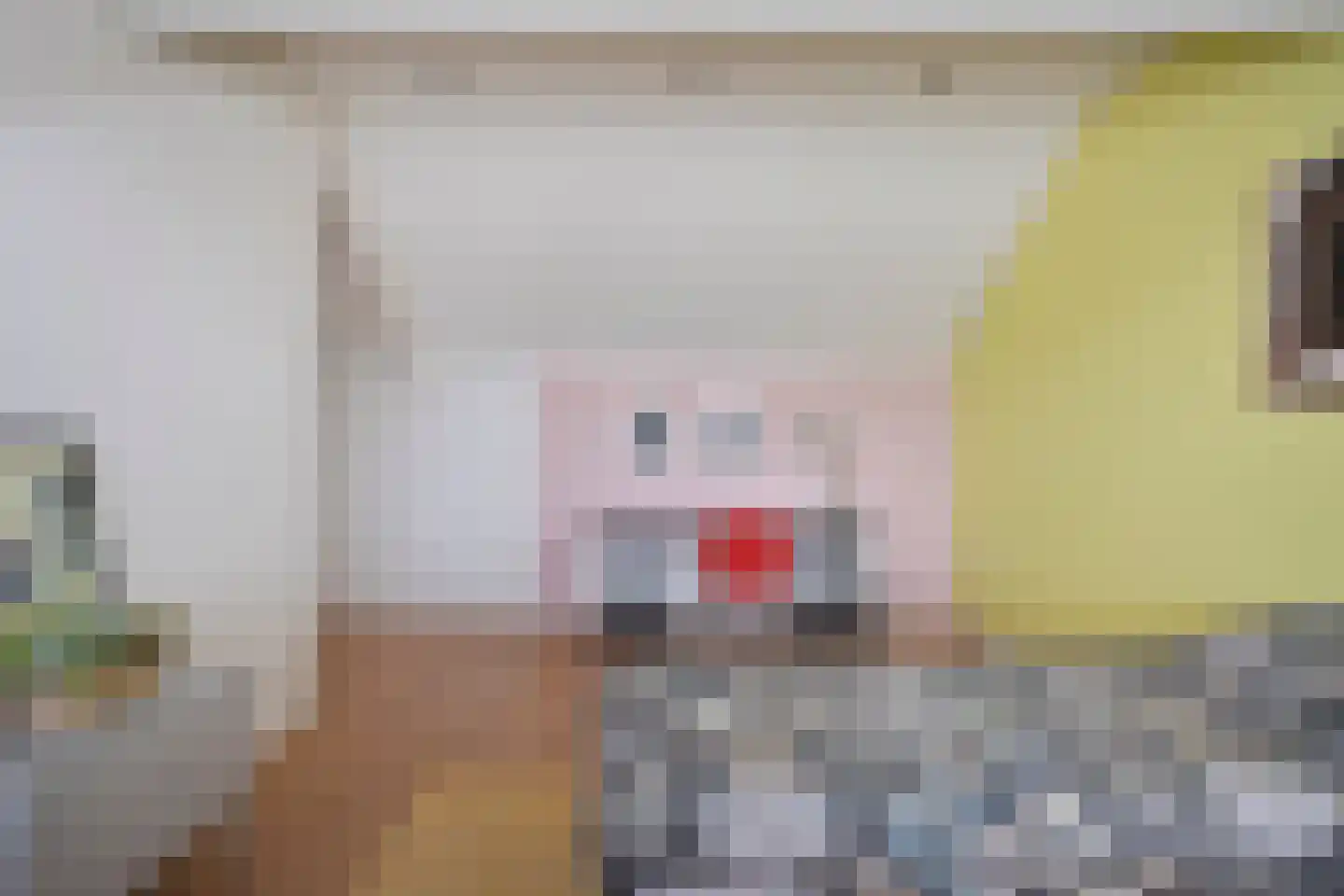 De Plank 5 Veldhoven thumbnail 41