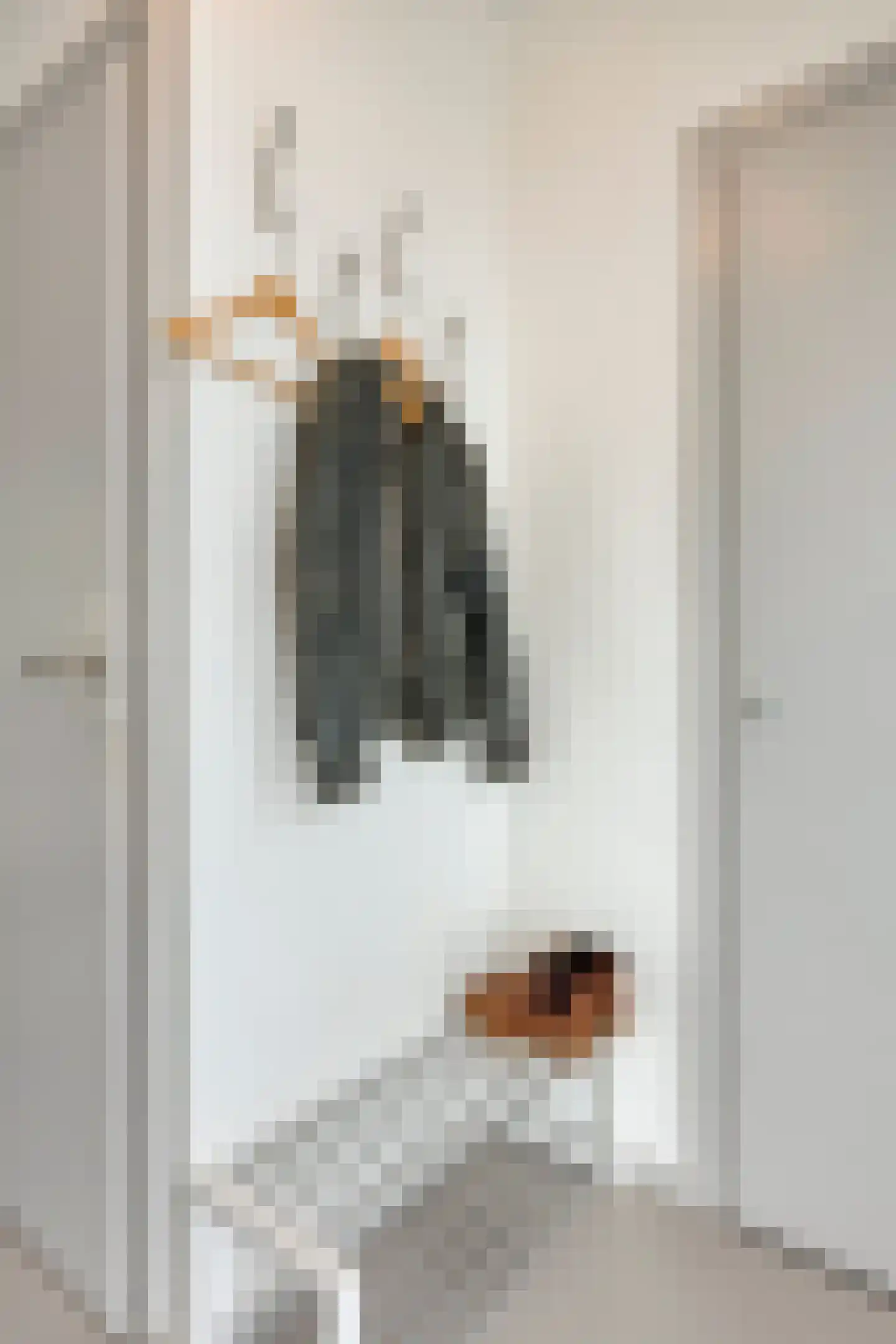 De Plank 5 Veldhoven thumbnail 8