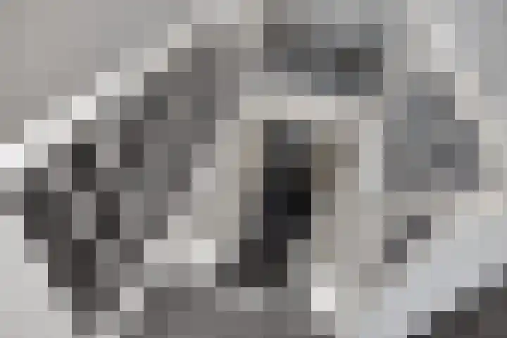 de Plas 38 Raalte thumbnail 16