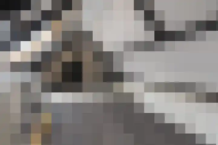 de Plas 38 Raalte thumbnail 20