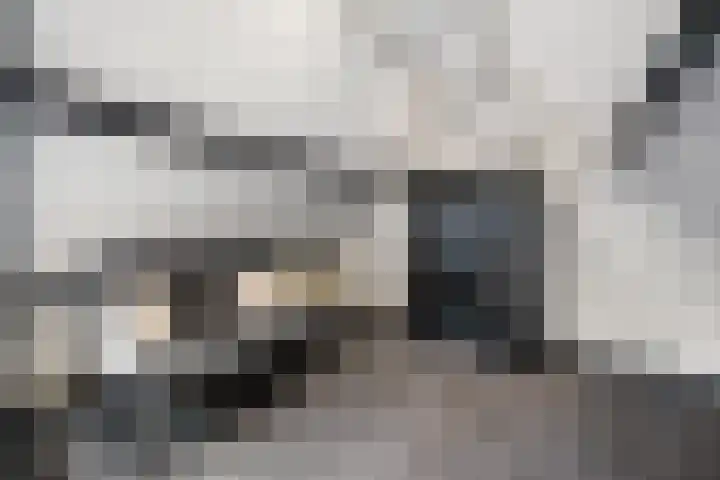 de Plas 38 Raalte thumbnail 22