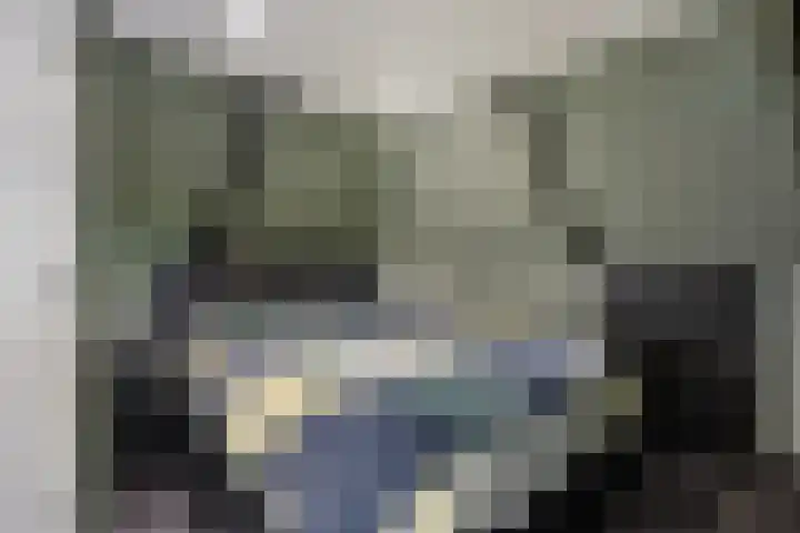 de Plas 38 Raalte thumbnail 23