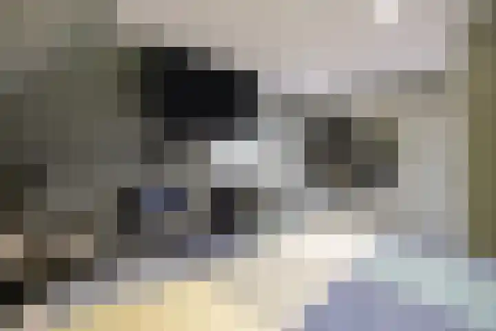 de Plas 38 Raalte thumbnail 24