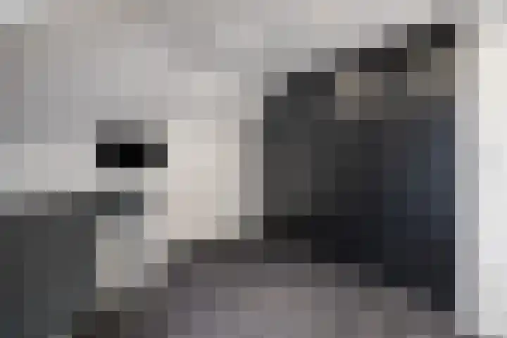 de Plas 38 Raalte thumbnail 27