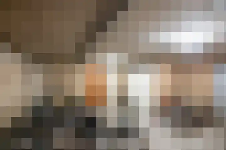 de Plas 38 Raalte thumbnail 28