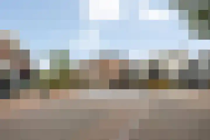 de Plas 38 Raalte thumbnail 30