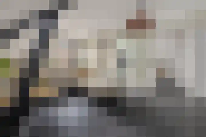 de Plas 38 Raalte thumbnail 4