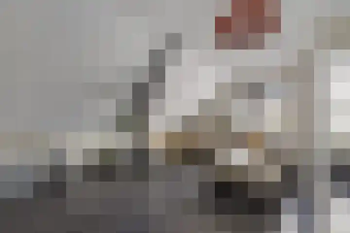 de Plas 38 Raalte thumbnail 5