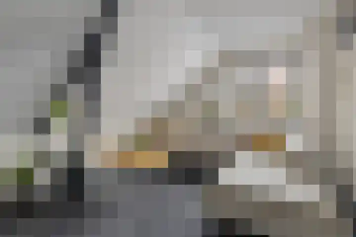de Plas 38 Raalte thumbnail 6