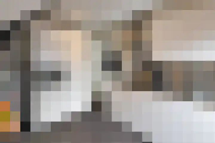 de Plas 38 Raalte thumbnail 8