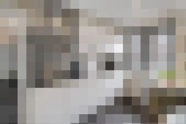 de Plas 38 Raalte thumbnail 9