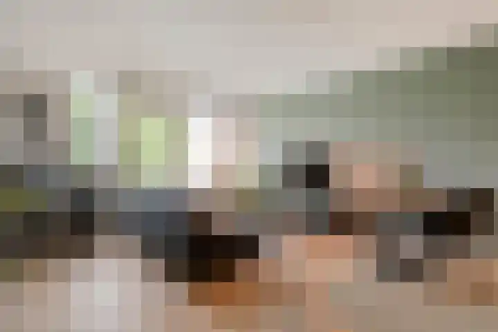 de Plas 40 Raalte thumbnail 12