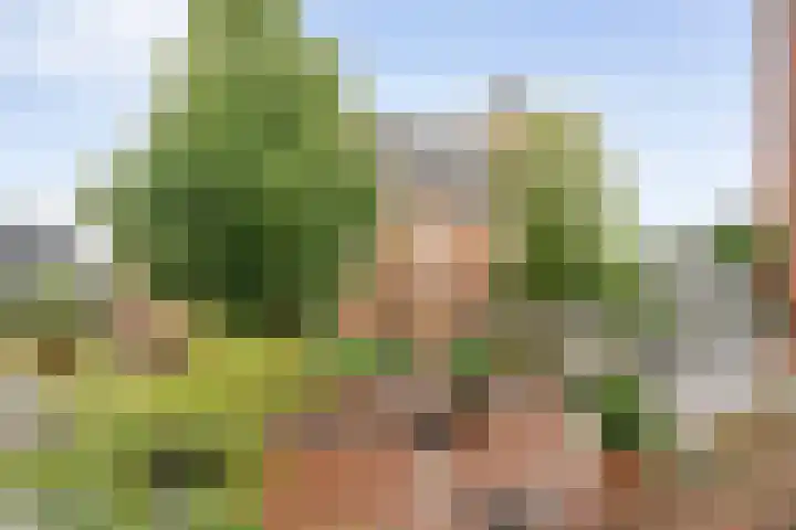 de Plas 40 Raalte thumbnail 5