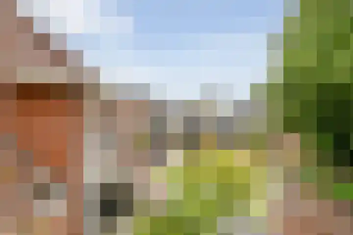 de Plas 40 Raalte thumbnail 6