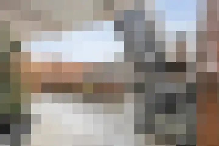 de Plas 40 Raalte thumbnail 8