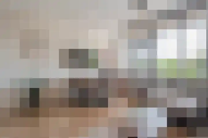 de Plas 60 Raalte thumbnail 12