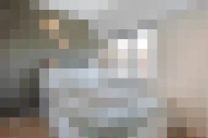 de Plas 60 Raalte thumbnail 18