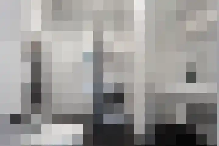 de Plas 60 Raalte thumbnail 20