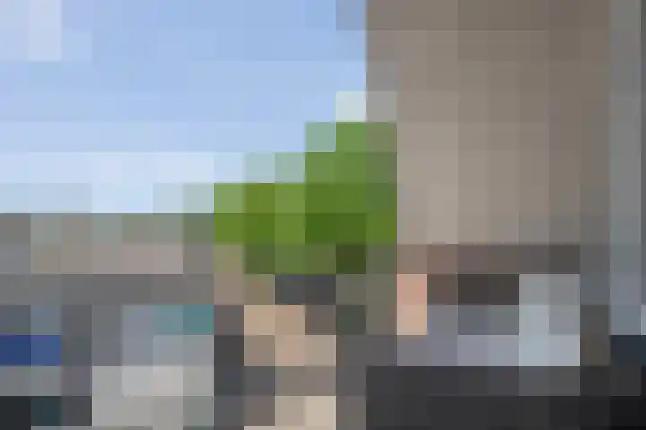 de Plas 60 Raalte thumbnail 22