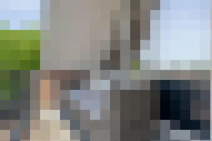 de Plas 60 Raalte thumbnail 23