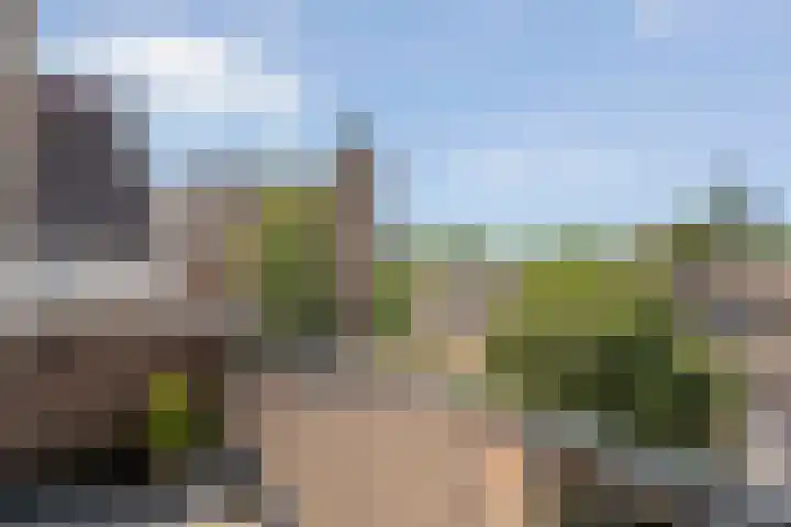 de Plas 60 Raalte thumbnail 24