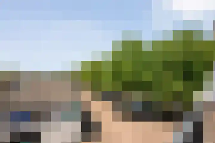 de Plas 60 Raalte thumbnail 25