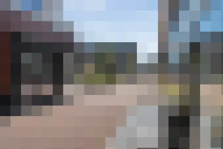de Plas 60 Raalte thumbnail 4