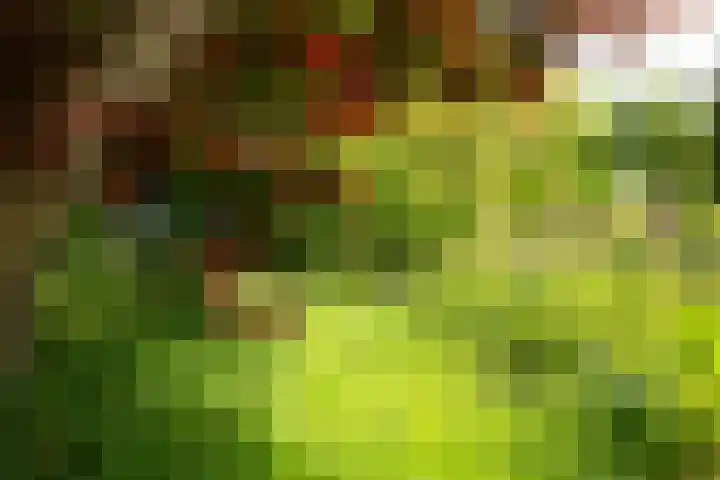 de Plasse 4 Terband thumbnail 12