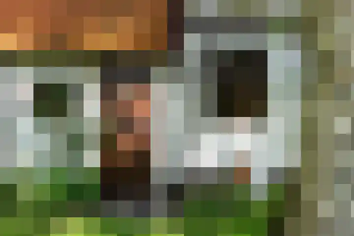 de Plasse 4 Terband thumbnail 16