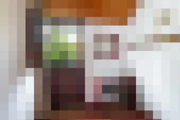 de Plasse 4 Terband thumbnail 17